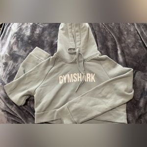 Light blue gym shark hoodie size small